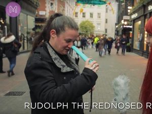 Supporting image for story: Can you recognise the Christmas songs being played on this vibrator?