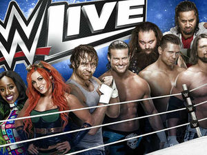 Supporting image for story: WWE Live, Genting Arena, Birmingham - review
