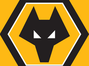 Supporting image for story: Wolves sensory room helps make young fan's football dream come true