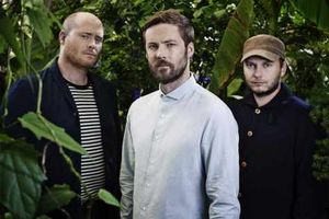 Supporting image for story: Bees buzzing to Midlands for live show