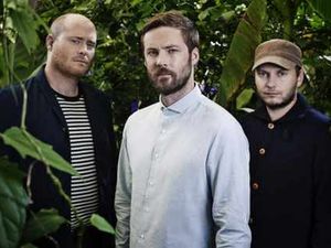 Supporting image for story: Bees buzzing to Midlands for live show