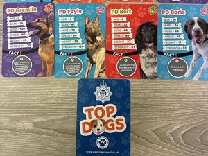 Supporting image for story: 56 West Mercia Police dogs feature in new 'Top Dogs' card game launched by force