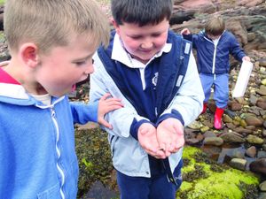 Supporting image for story: Shrewsbury-based charity’s online environmental fieldwork lessons attract global audience