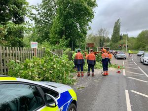 Supporting image for story: Fallen tree on main Telford road now cleared