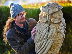 Supporting image for story: Sculptor creates amazing animals from felled trees at Hednesford Park