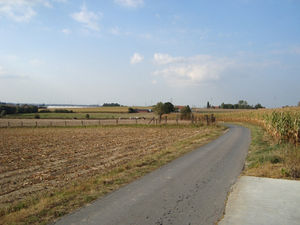 Supporting image for story: Crops sway where "the Shropshires" died