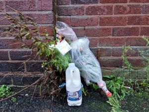 Supporting image for story: Bystanders tried to save life of boy, 4, who died after being hit by bus in Tipton