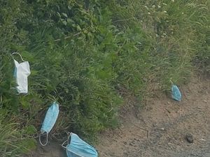 Supporting image for story: 'It's terrible': Hundreds of PPE masks littered down Telford country lane