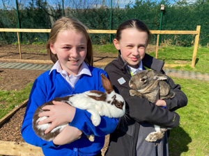 Supporting image for story: Market Drayton school's social farm and allotment recognised at awards