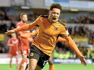 Supporting image for story: Helder Costa will be like a new signing for Wolves, says John Ruddy
