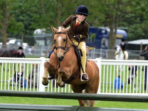Supporting image for story: Staffordshire County Ground shuttle bus service 
