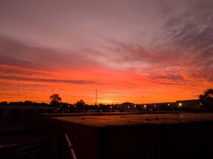 Alex Leeson took this photo in Halesfield in Telford