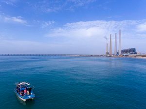 Supporting image for story: How an industrial plant in Israel is providing a safe haven for sharks