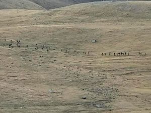 Supporting image for story: Armenia and Azerbaijan agree on ceasefire to end fighting