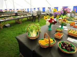 Supporting image for story: Northycote fruit and vegetable show set to be axed