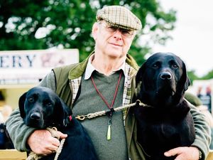 Supporting image for story: Thousands flock to the Midland Game Fair at Weston Park - with pictures