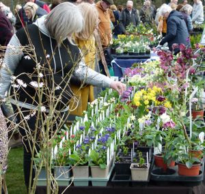 Spring Plant Fair