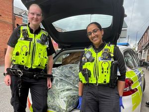Supporting image for story: Cannabis plants worth £90k seized after police gain entry to Brierley Hill property