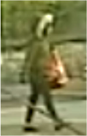 CCTV images released by police of the mysterious female figure