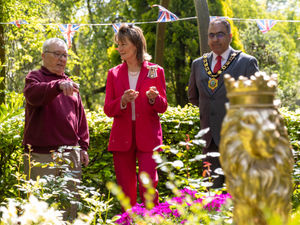 Supporting image for story: Group to celebrate 20 years of caring for Telford's Town Park