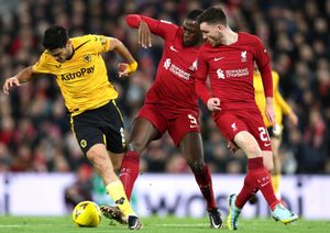 Raul Jimenez (Getty)
