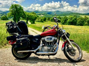 Gloria in the Italian countryside
