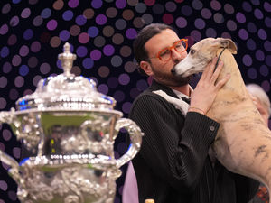 Giovanni Liguori from Italy with whippet Miuccia, winner of the Best in Show final at the Crufts Dog Show