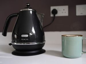 Supporting image for story: AI device aims to help keep elderly safe by monitoring household appliances