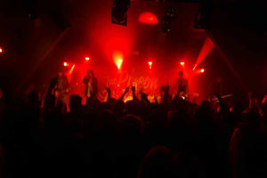 The Pigeon Detectives