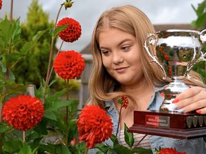 Supporting image for story: Beautiful blooms go on show in Telford