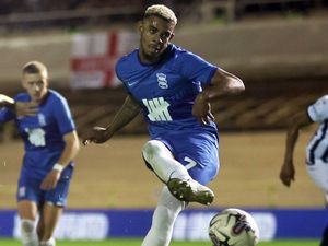 Supporting image for story: West Brom & police investigate alleged racist incident in Birmingham derby clash