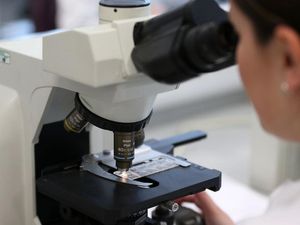 Supporting image for story: Sugar supplement could be used to fight cancer, research suggests