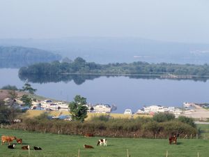 Supporting image for story: Vigilance urged as quagga mussel discovered for first time in NI