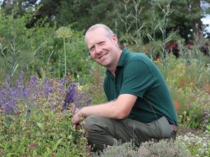 Supporting image for story: Keen gardeners invited to 'Seed Sowing and Propagation' workshop at the award winning Goldstone Hall Hotel & Garden