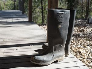Supporting image for story: Welly-wanging at Shropshire village hall