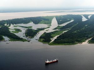 Supporting image for story: Amazon rainforest could collapse in 50 years, scientists claim