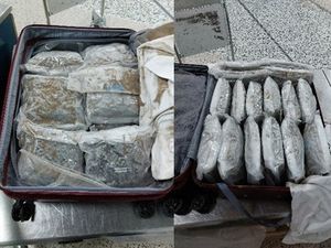 Supporting image for story: Nine arrests after cannabis found in suitcases at Birmingham Airport