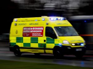 Supporting image for story: Woman left needing surgery after Coseley dog attack