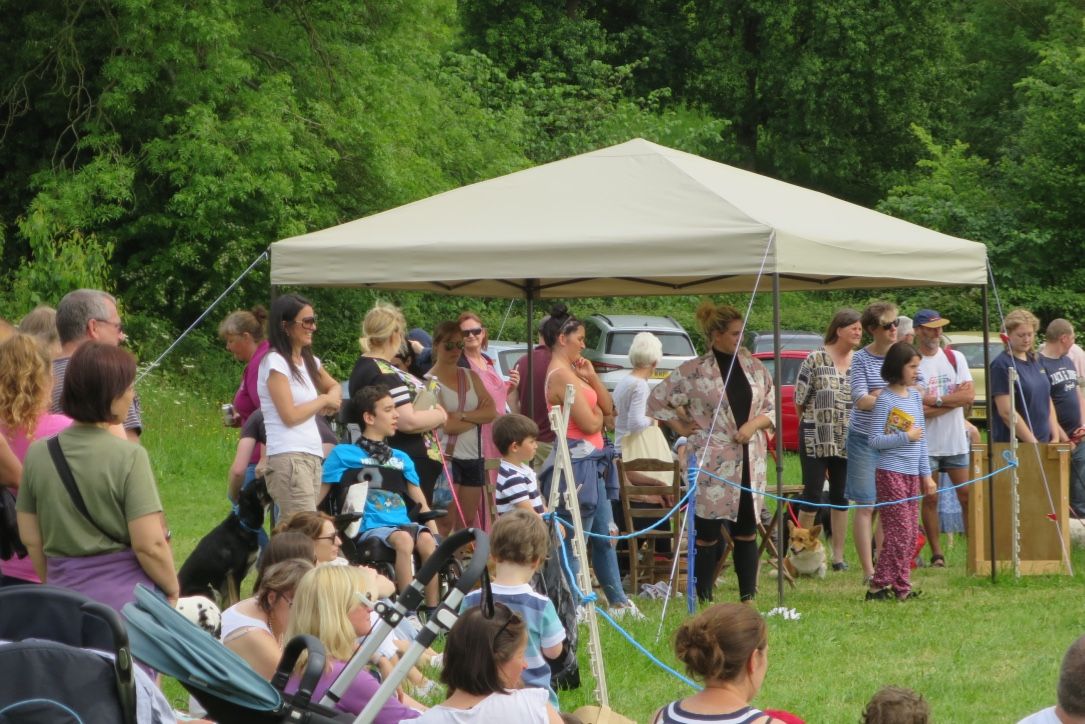 Hope Bagot Dog Show in full swing