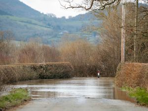 Supporting image for story: Flood alerts issued across Shropshire as River Severn levels rise