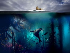 Supporting image for story: TV show out of this Planet