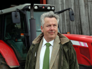 Supporting image for story: Keep silage clamps in good order