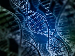 Supporting image for story: Why scientists are annoyed about a flaw in the new DNA emoji