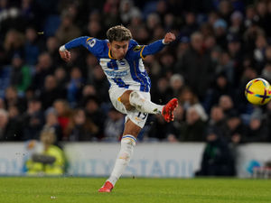Supporting image for story: West Brom sign Brighton winger Jeremy Sarmiento on season-long loan