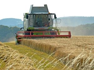 Supporting image for story: Liberal Democrats urge PM to protect UK farmers in US trade deal talks