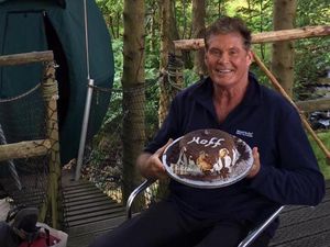 Supporting image for story: Watch: The Hoff celebrates birthday with Mid Wales glamping trip