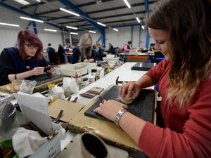 Supporting image for story: Ladder for the Black Country: Challenge is to fill vacancies