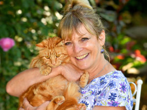 Supporting image for story: Shropshire cat charity founder Marion is 'feline' fine over BEM in King's Birthday Honours