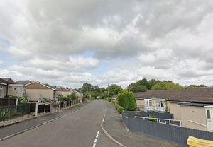 The incident happened on Woodlands Avenue in Wellington. Photo: Google