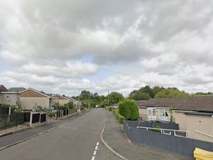 Supporting image for story: Criminal damage investigation launched after home security cameras cut down from fence in Wellington